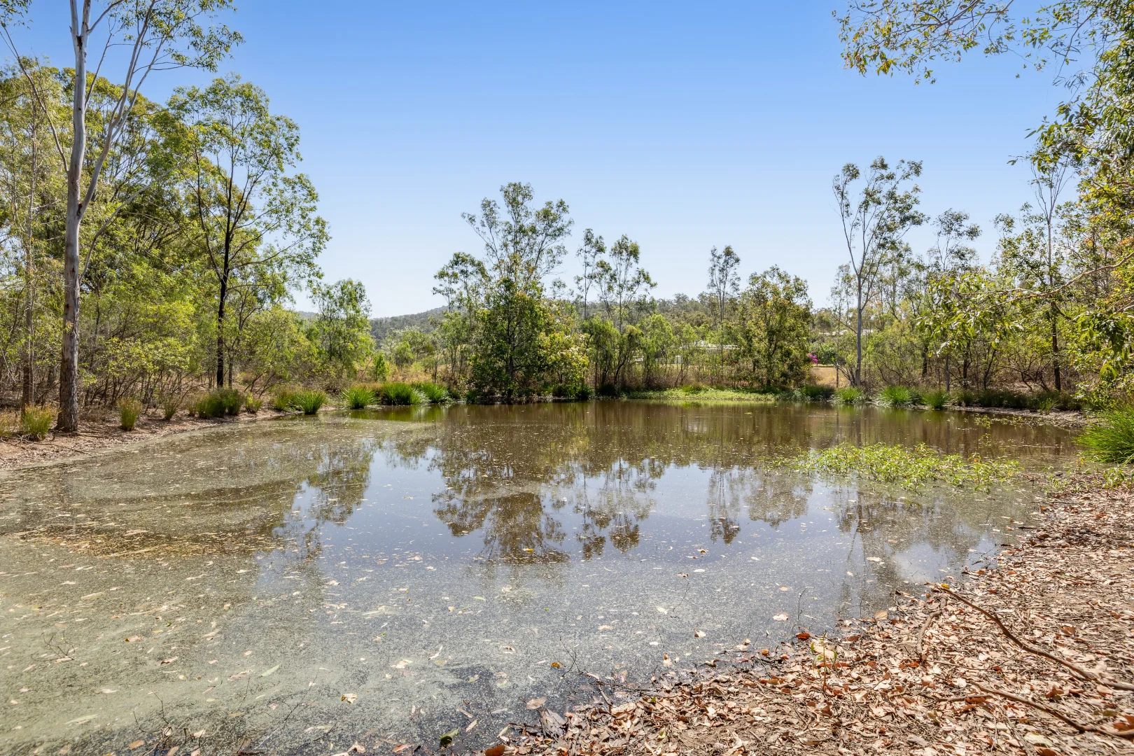 Additional image 12 of 9 Quigleys Road, Withcott QLD 4352