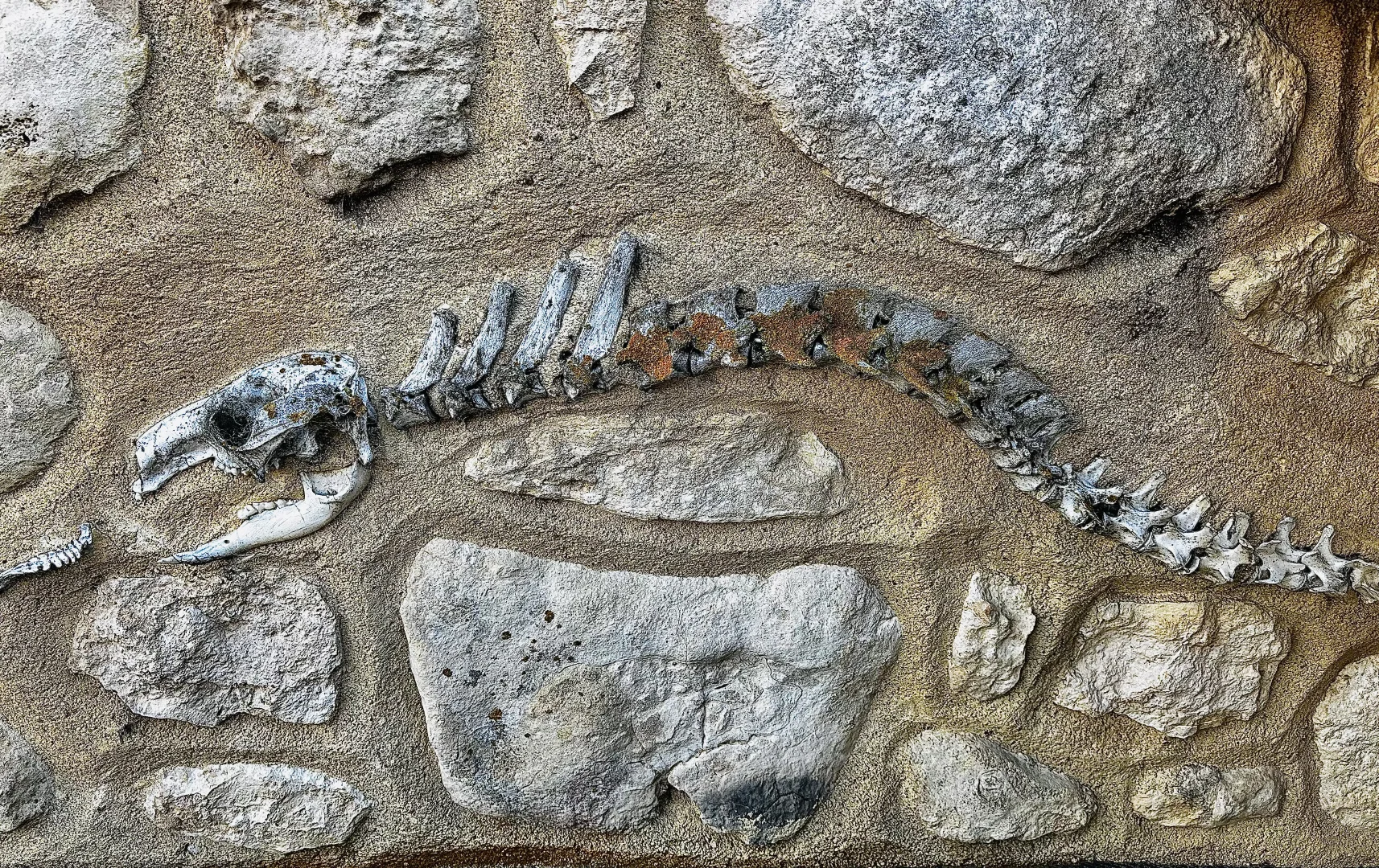 Image 27