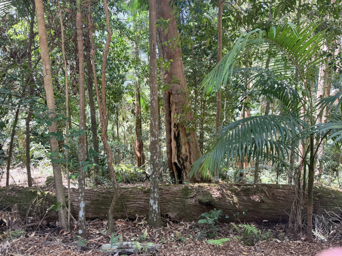 Image 9