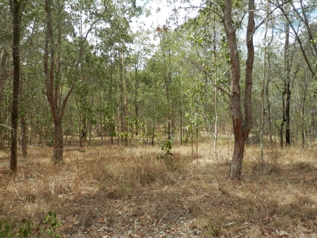 62 Ewingar Ridge Rd, Ewingar NSW 2469, Image 1