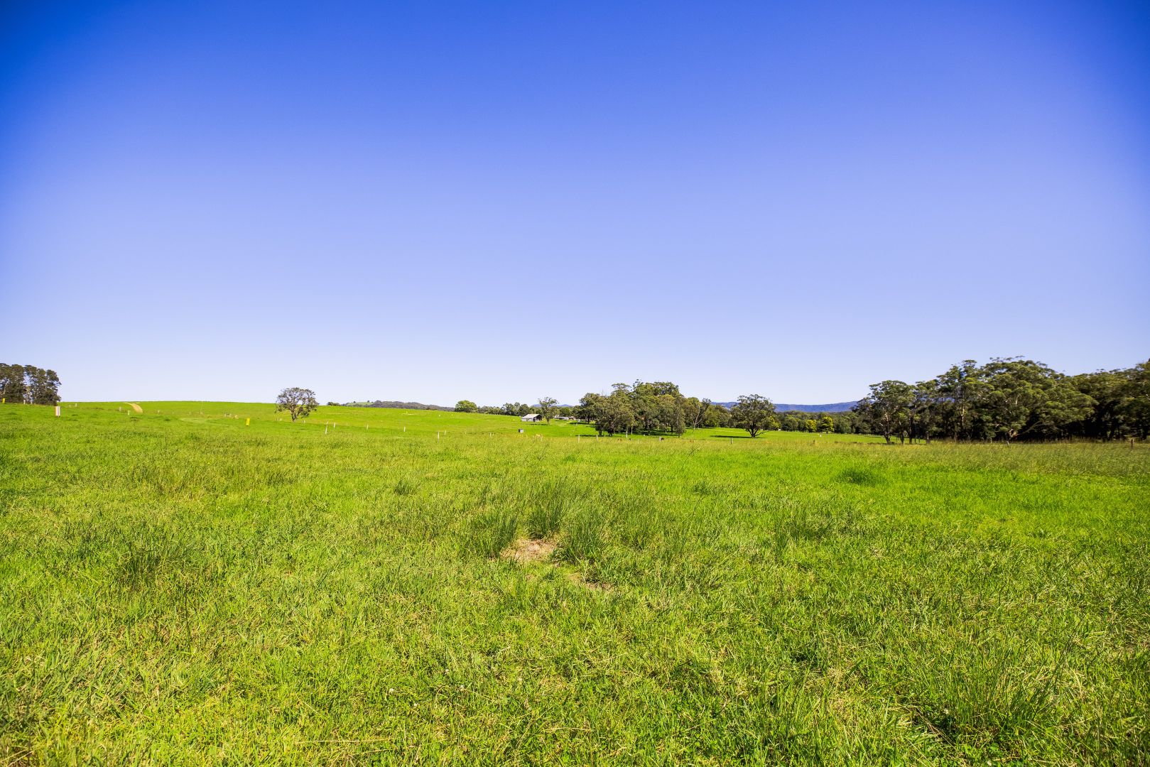 Lot 19 'Serenity Ridge' 510 Beach Road, Berry NSW 2535 Domain