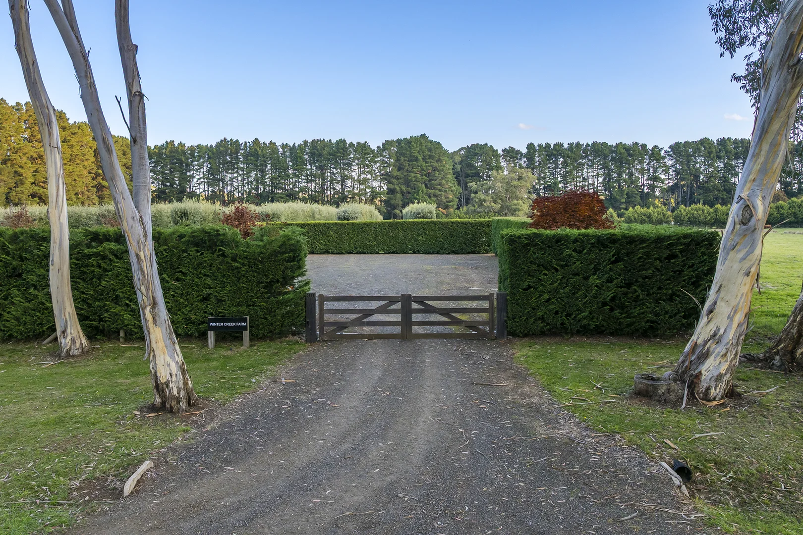 Image 26