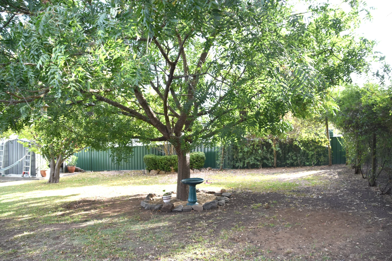 Image 16