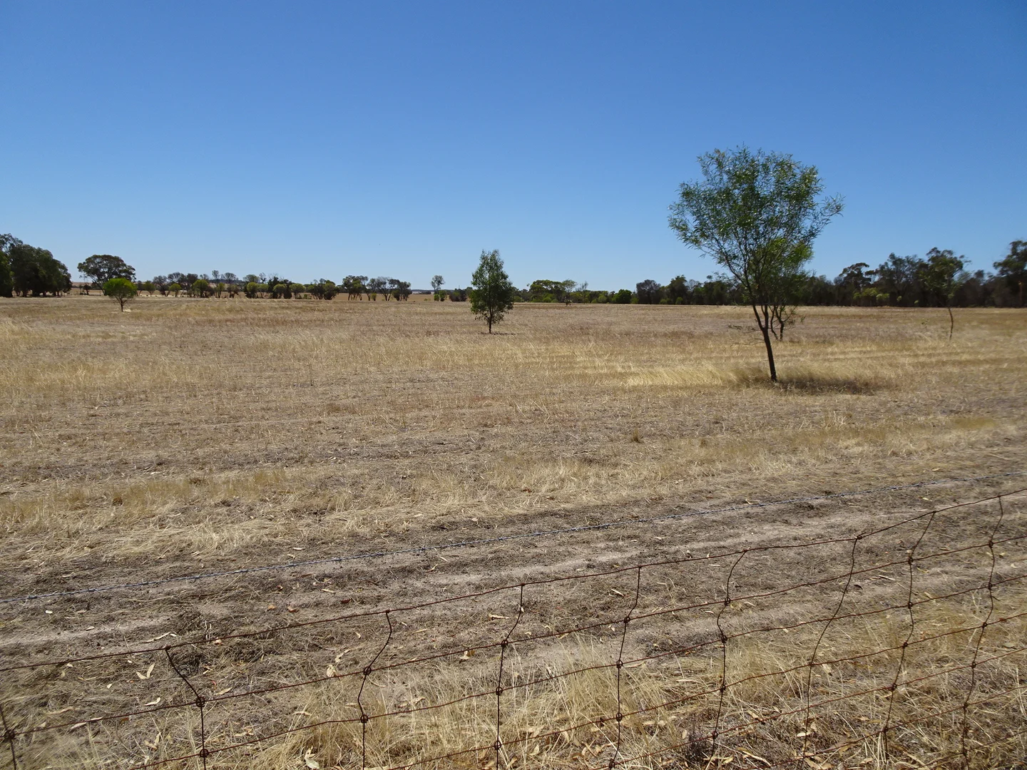 Additional image 8 of 5 Realm Street, Pingelly WA 6308