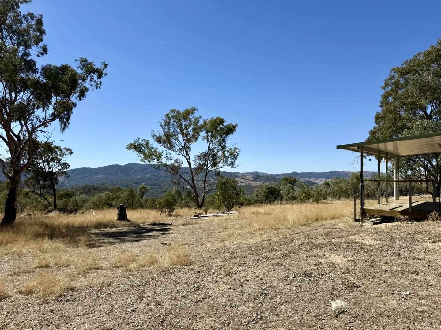 Image 12