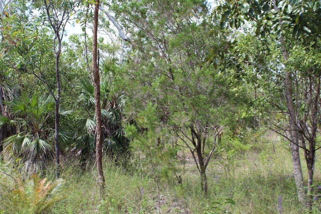 Additional image 23 of 155 Serrata Road, Dundee Downs NT 0840