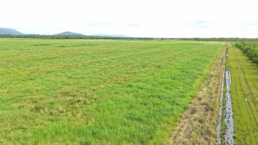 Additional image 21 of 3 Comiskey Road, Giru QLD 4809