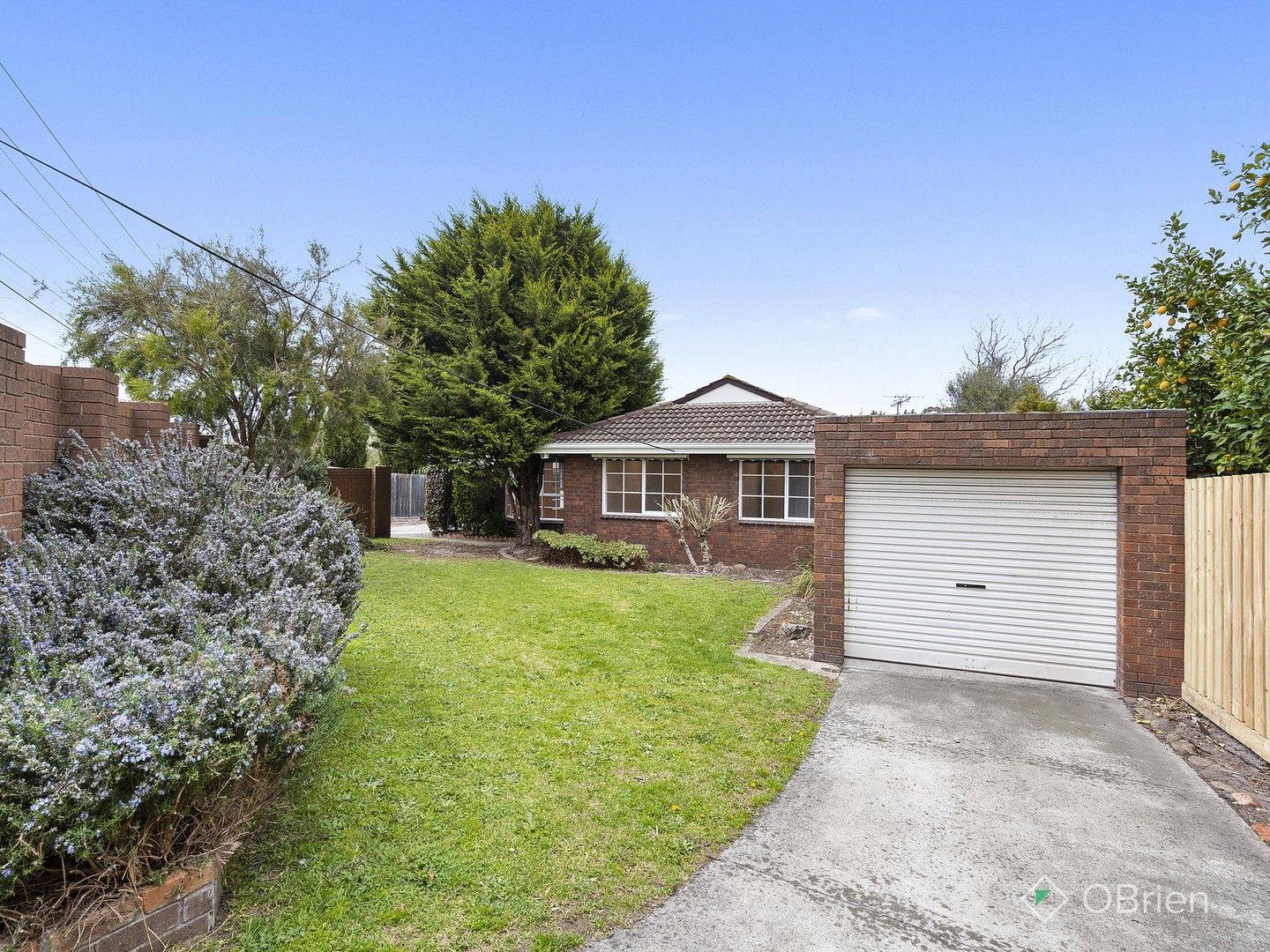 1/113 Warrigal Road, Mentone VIC 3194, Image 0