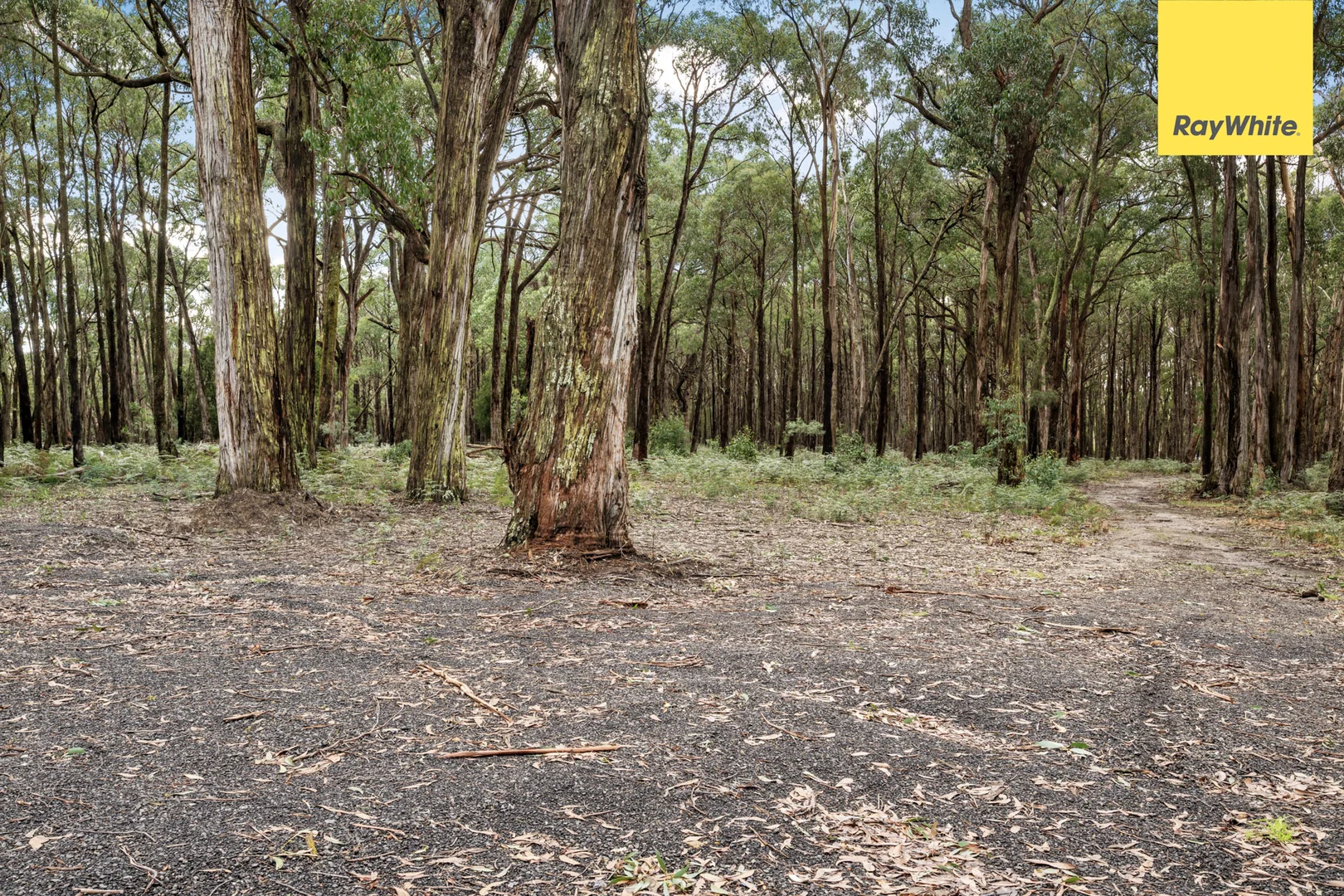 Image 18