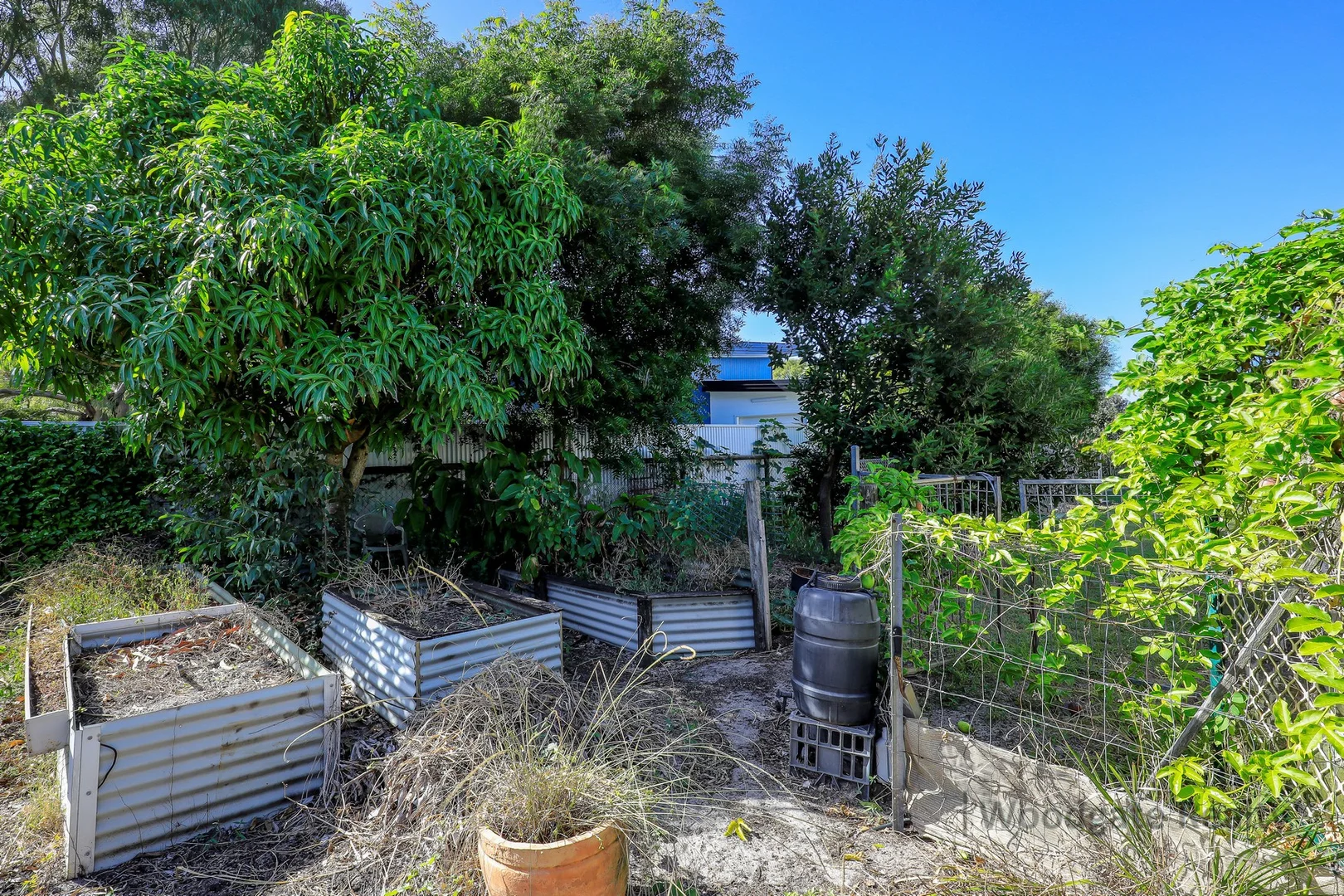 Additional image 30 of 27 Coral Sea Dr, Woodgate QLD 4660