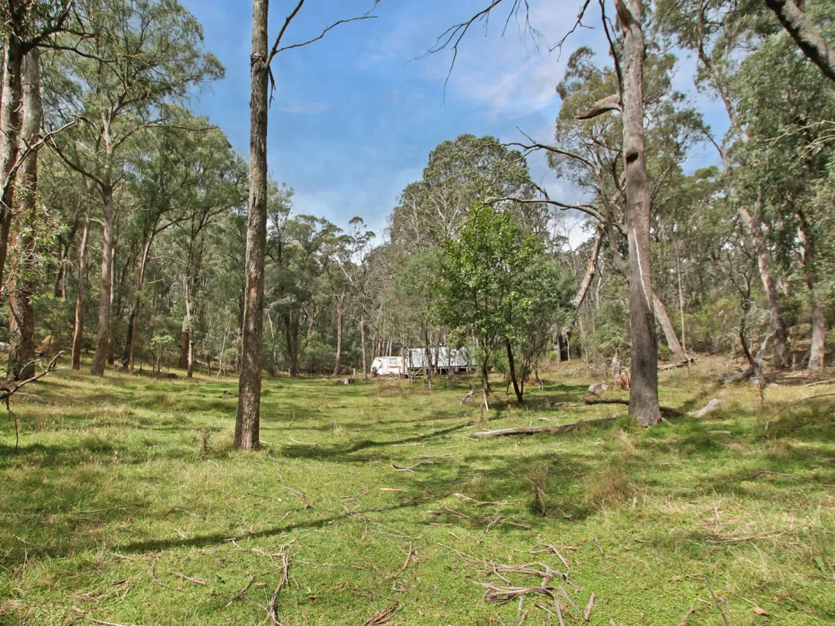 Additional image 9 of 135 Kangaroo Track, Omeo VIC 3898