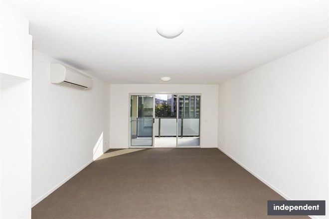 119 1 Bedroom Apartments For Rent In Braddon Act 2612 Domain