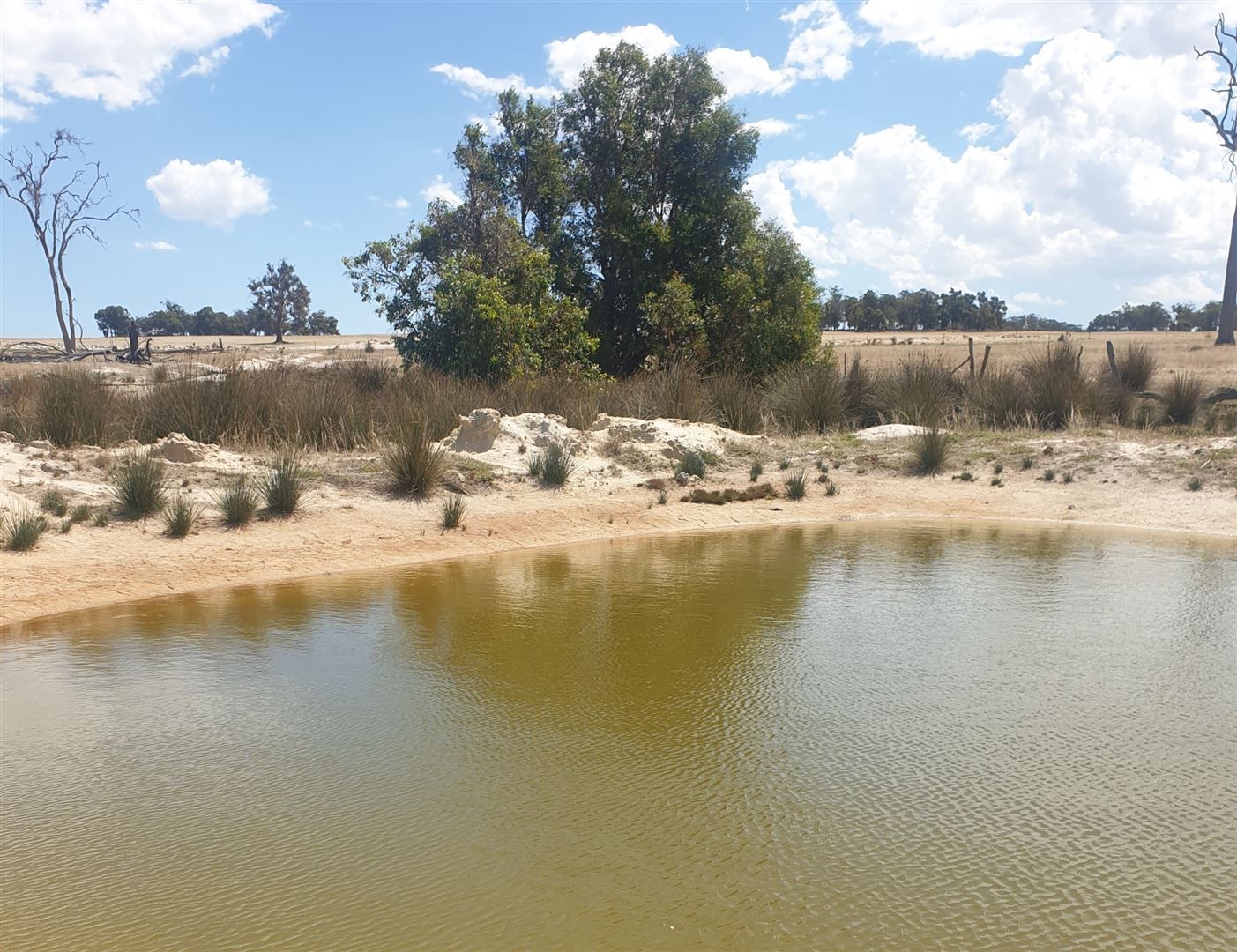 ' Phil's Wheatfield', Wedgecarrup WA 6315, Image 0