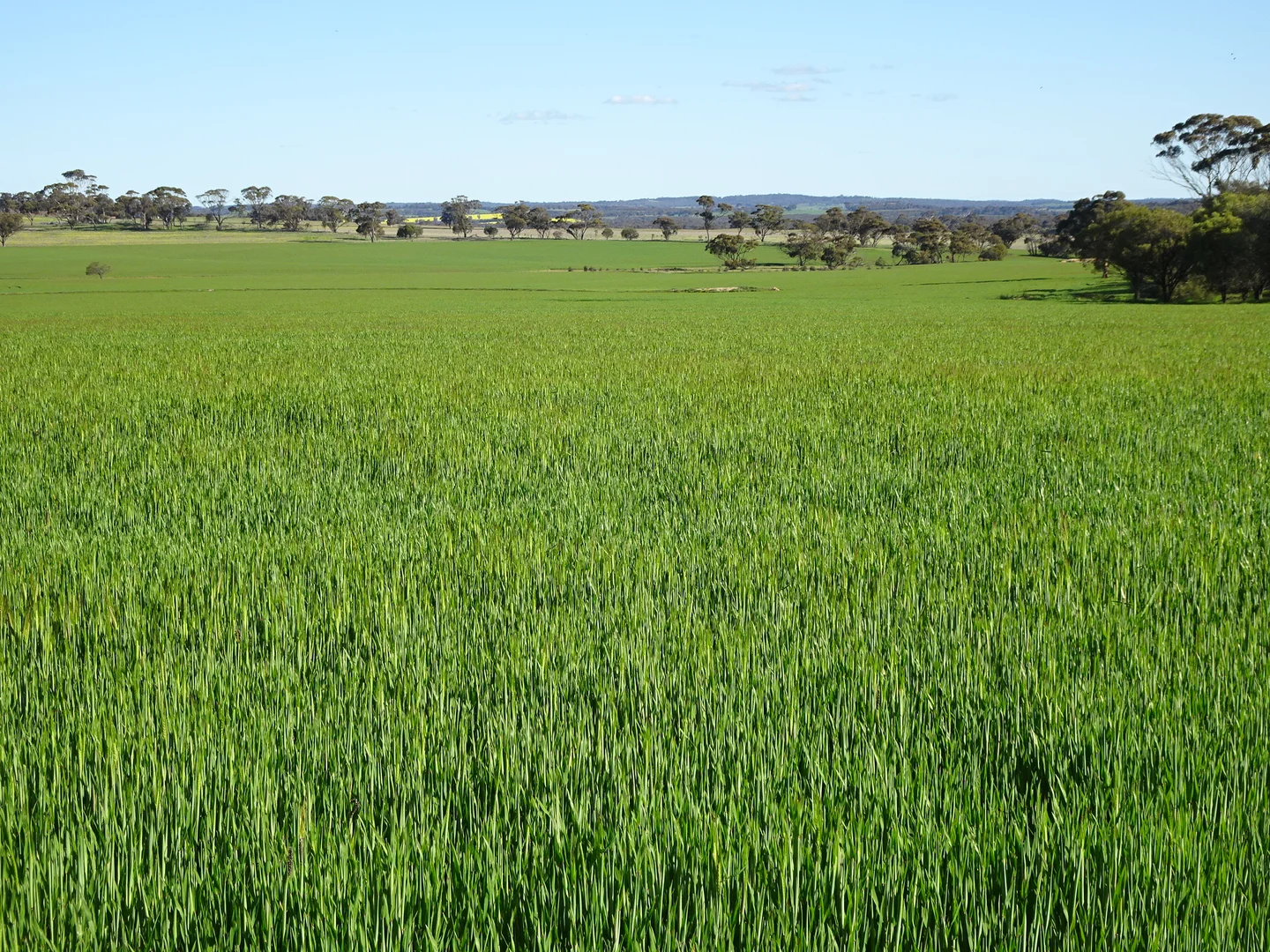 Image 18