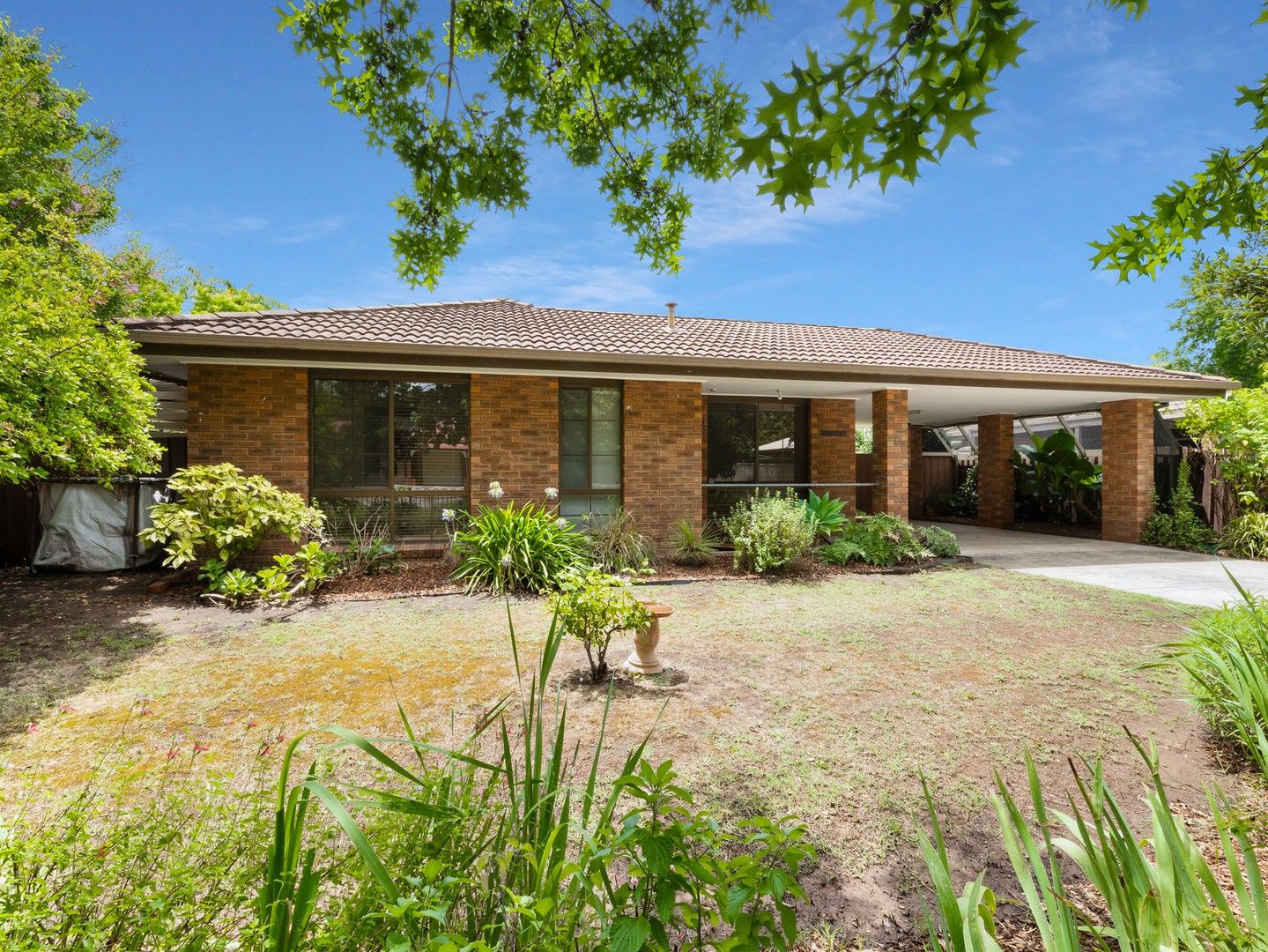 6 Diplomat Court, Benalla VIC 3672, Image 0