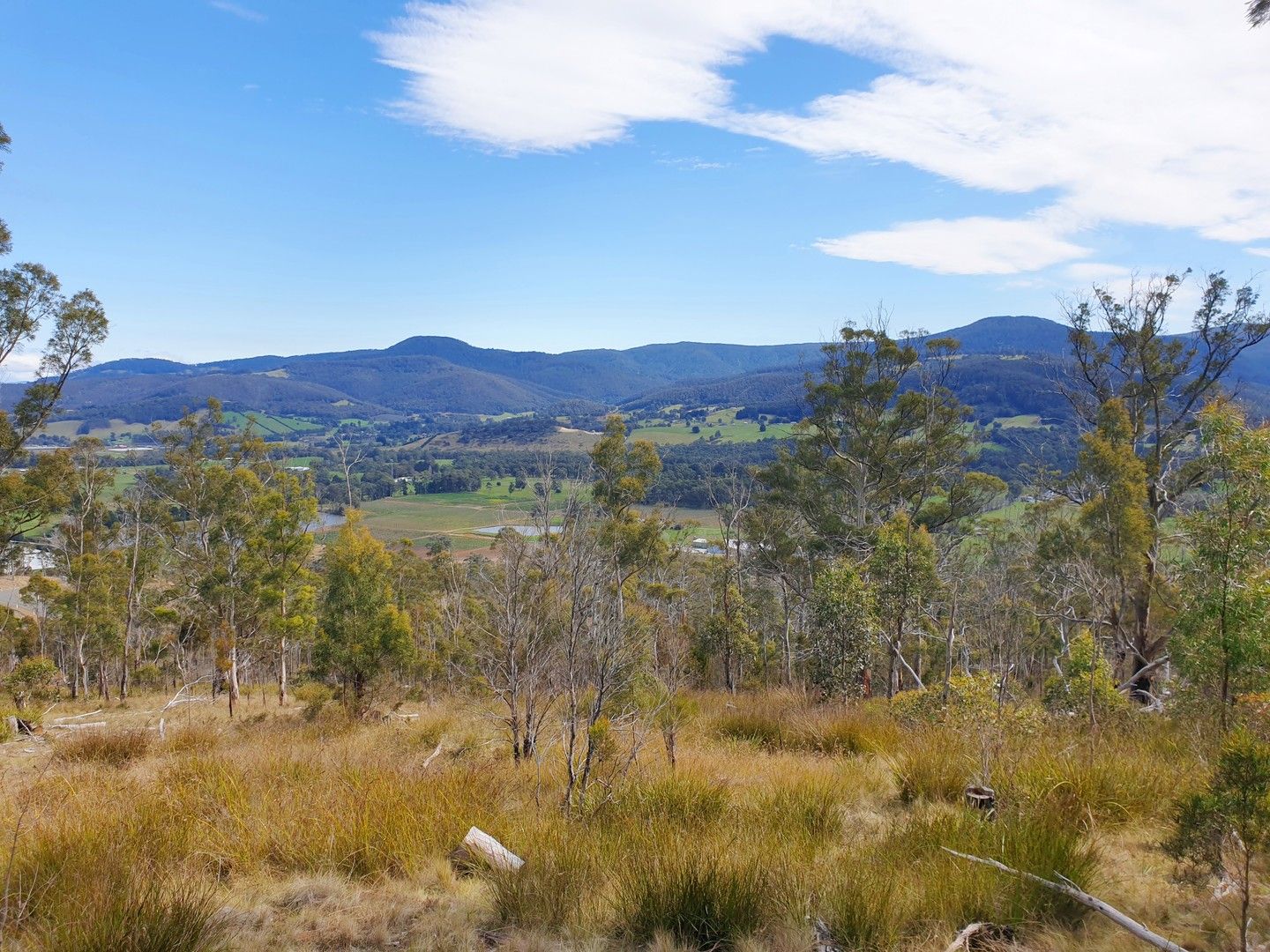 49 Bull Oak Way, Grove TAS 7109, Image 0