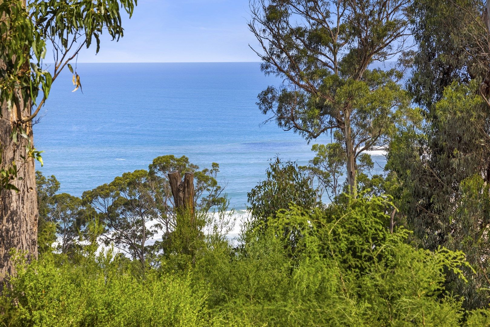 45 Karingal Drive, Wye River VIC 3234, Image 0