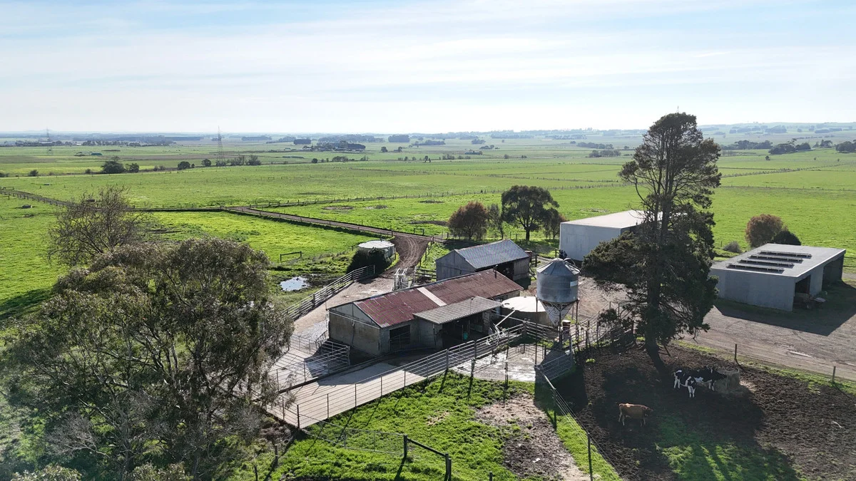 Image 12
