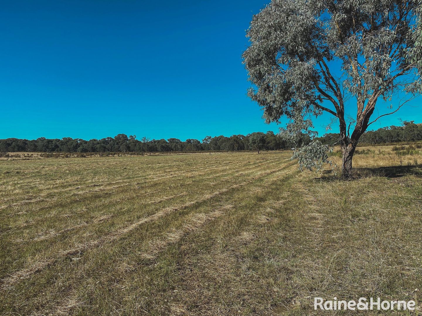 LOT 2 Kiowarrah Road Bevendale Via, Crookwell NSW 2583, Image 1