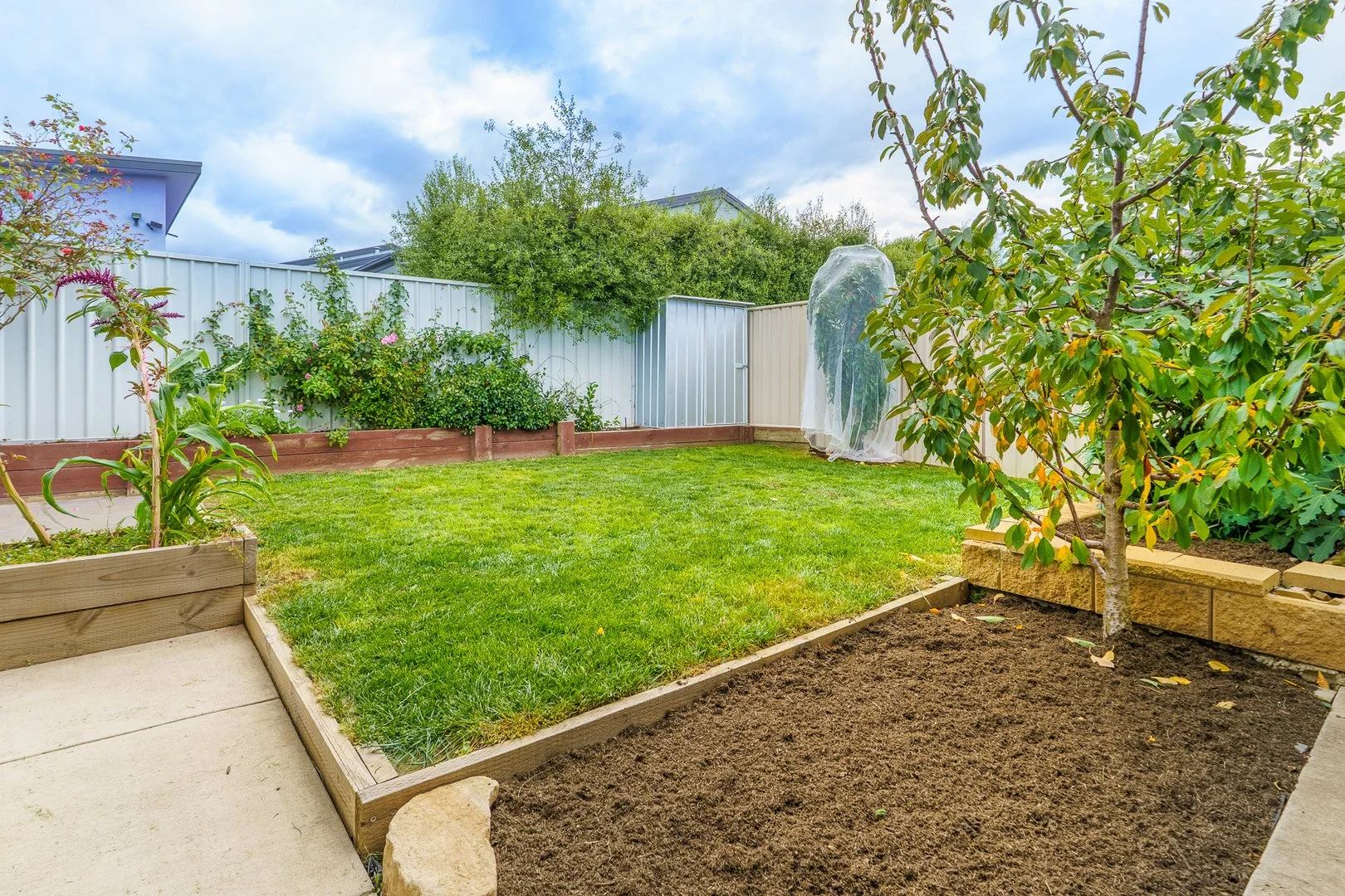 Additional image 13 of 10 Tycho Street, Moncrieff ACT 2914