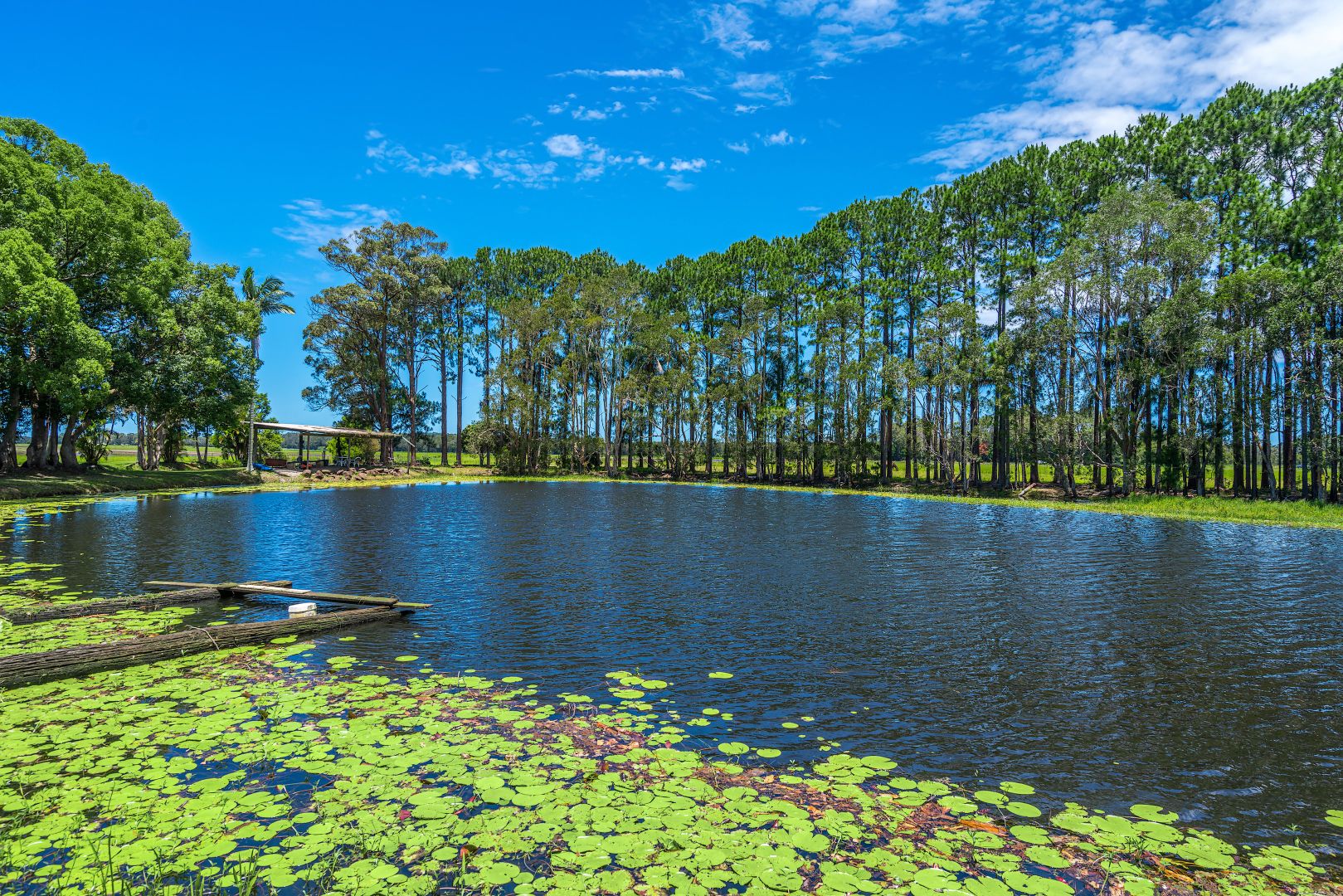 38 Newrybar Swamp Road, Kinvara Property History & Address Research