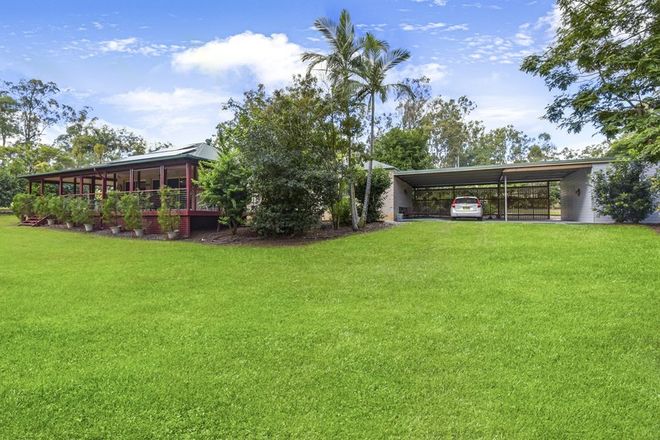 Picture of 297 Manifold Road, NORTH CASINO NSW 2470