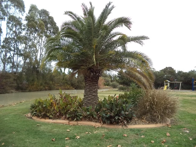 Additional image 19 of 8/121 Twenty Four Lane, Moama NSW 2731