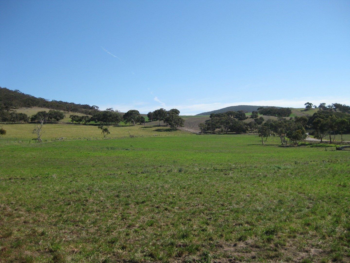 Lot 8 Cleland Gully Road, Tooperang SA 5255, Image 0