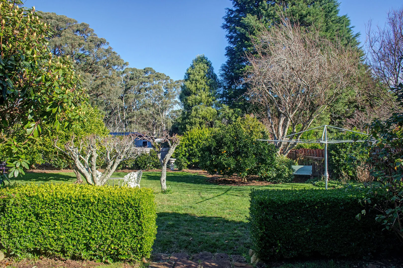 Image 21