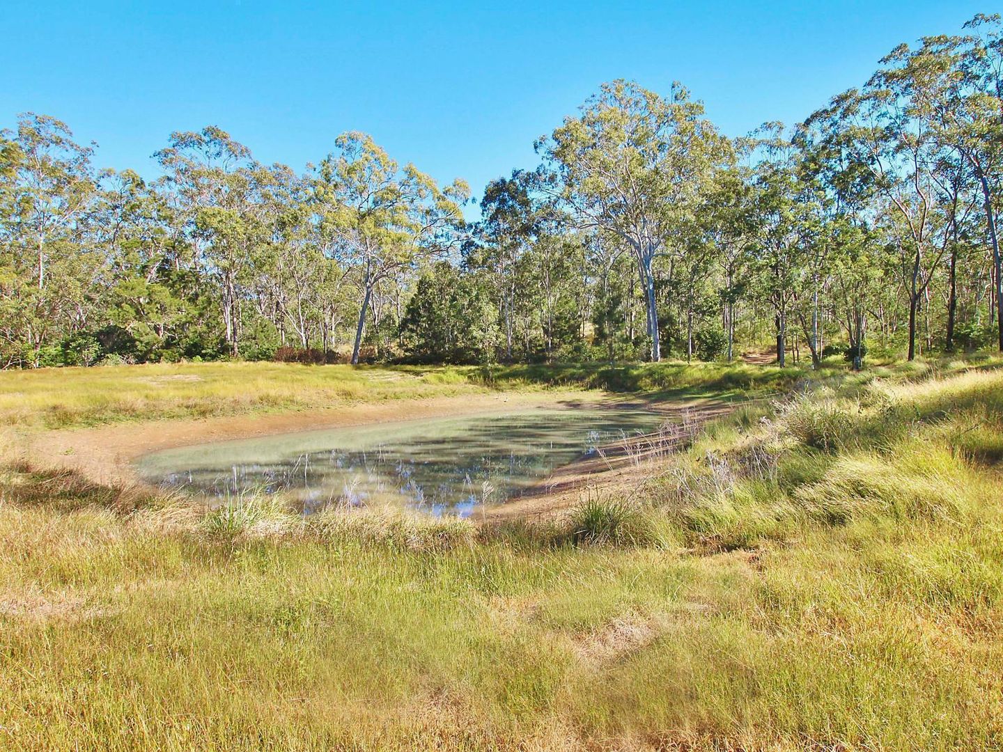 350 Struck Oil Road, Struck Oil QLD 4714, Image 1