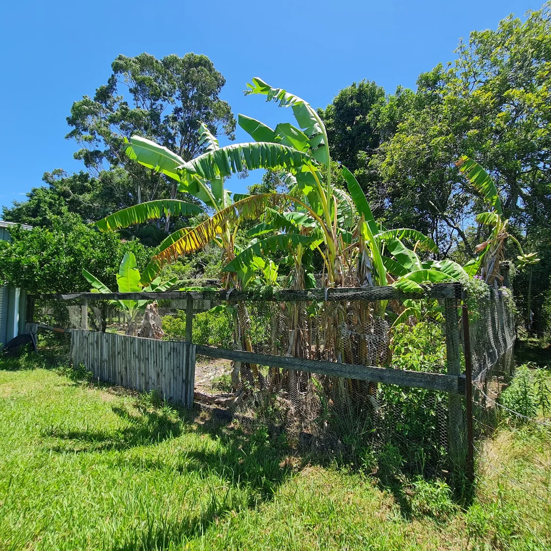 Image 14