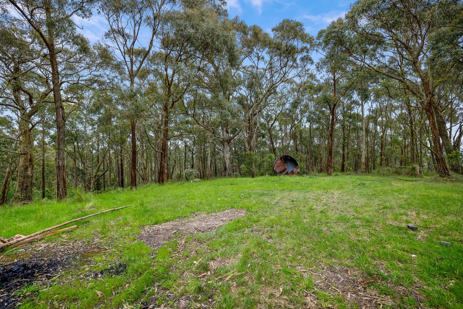 125 Marks Track, Deans Marsh VIC 3235, Image 2