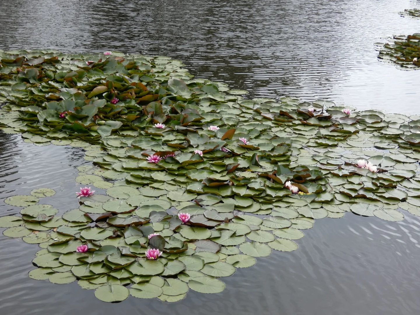 Image 25
