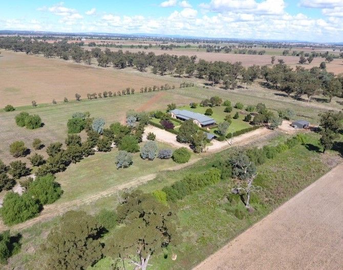 108 South Lead Road - Tollans Run, Forbes NSW 2871, Image 2