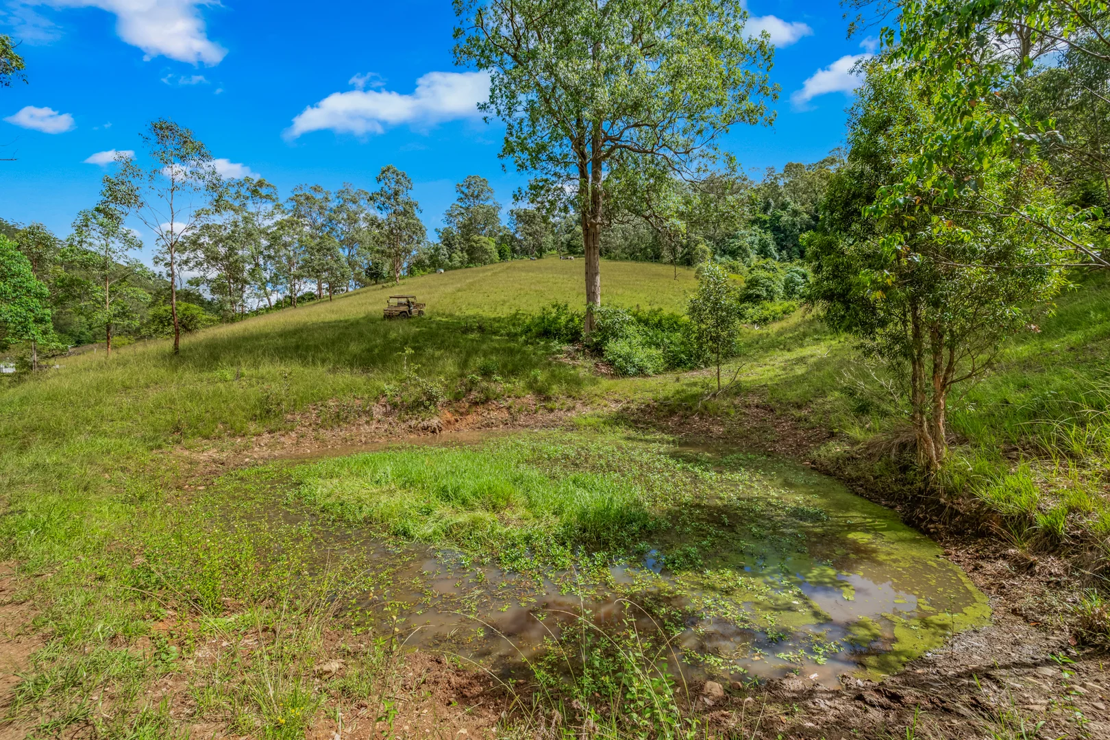 Additional image 30 of 664 Scone Road, Copeland via, Gloucester NSW 2422