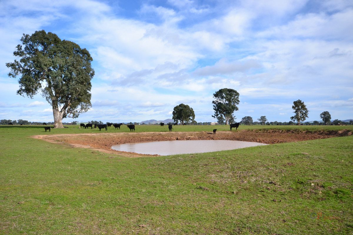 1 & 2 Long Lane, Barwite VIC 3722, Image 2