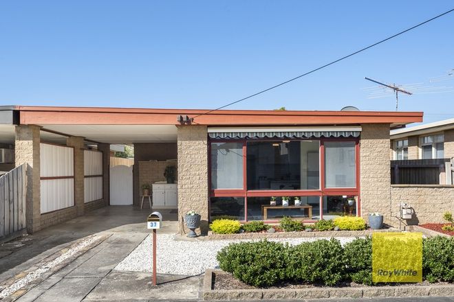 Picture of 37 Queen Street, BELMONT VIC 3216