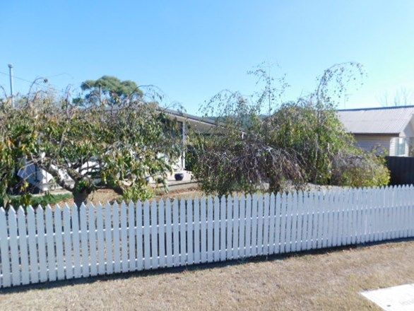 19 Chapman Street, Cooma NSW 2630, Image 1