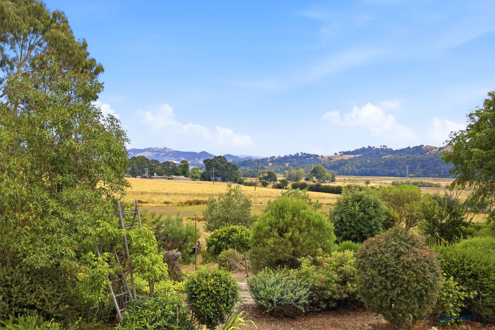 Additional image 15 of 318 Rubicon Road, Rubicon VIC 3712