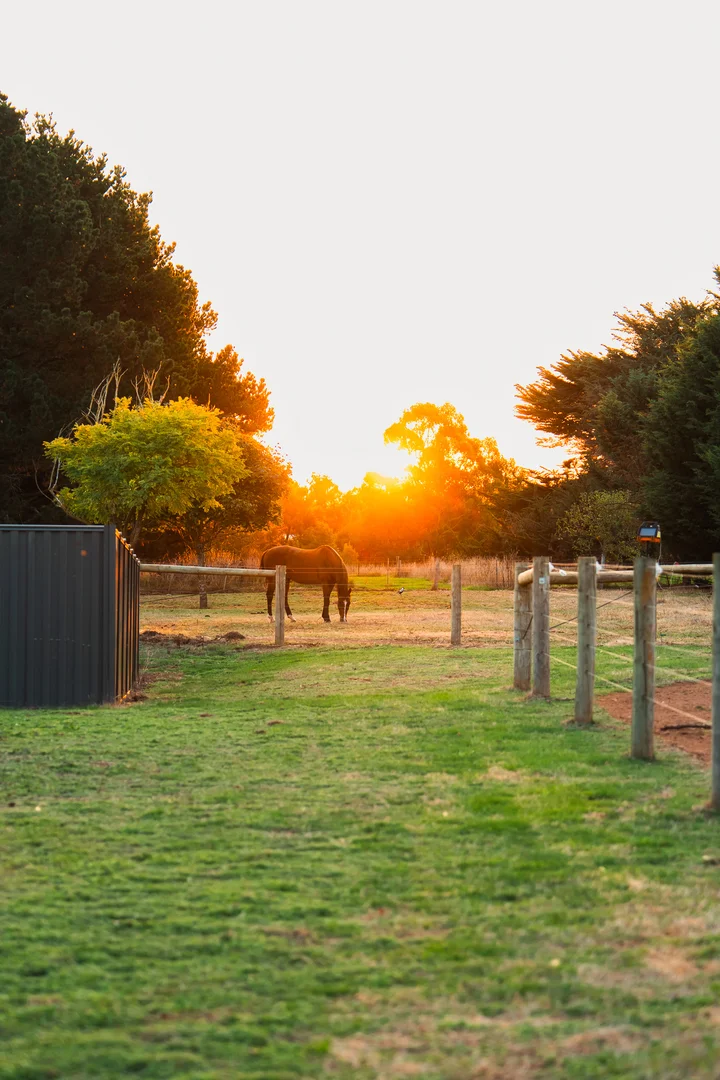 Additional image 32 of 34 Stuartfield Avenue, Romsey VIC 3434