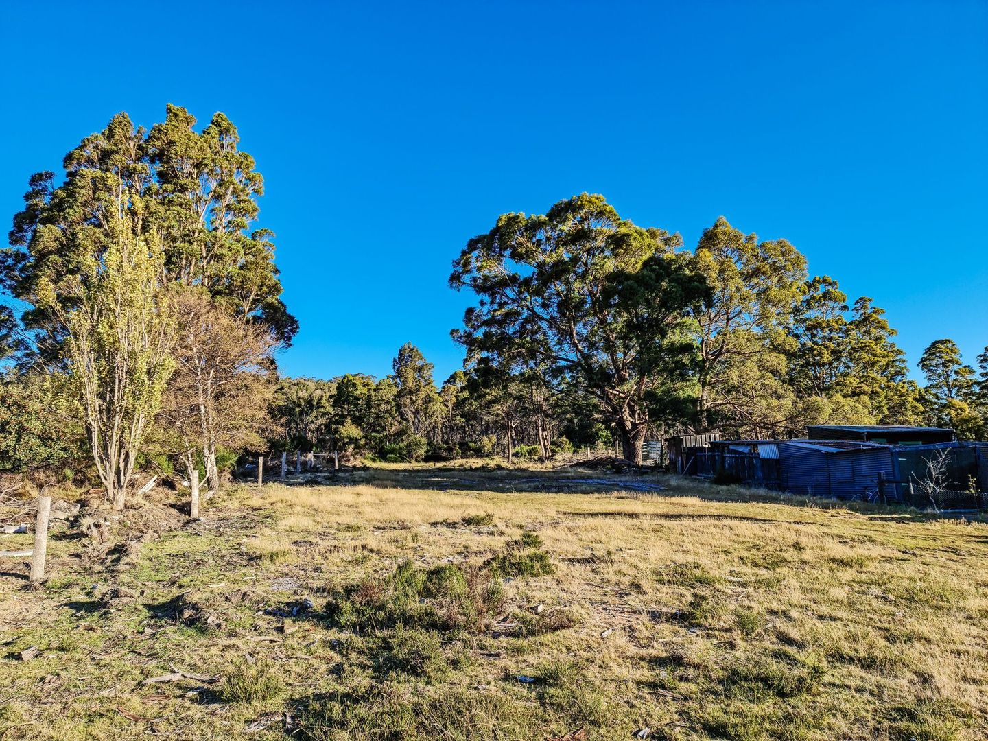 8 Walter Street, Rossarden TAS 7213, Image 1