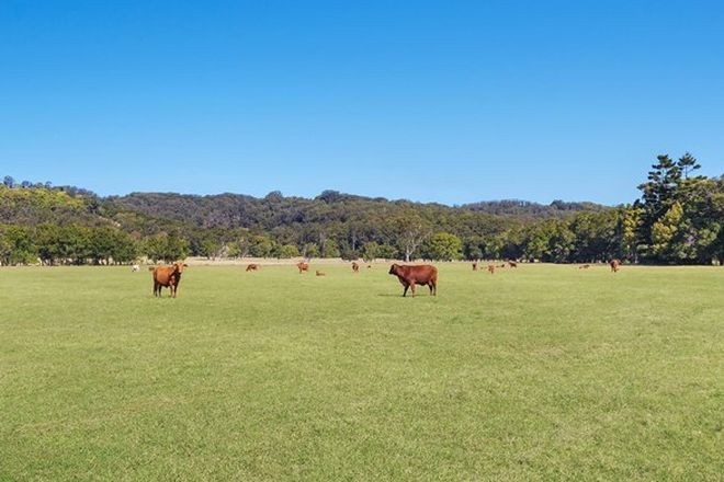 Picture of 142 Bartletts Lane, MEERSCHAUM VALE NSW 2477