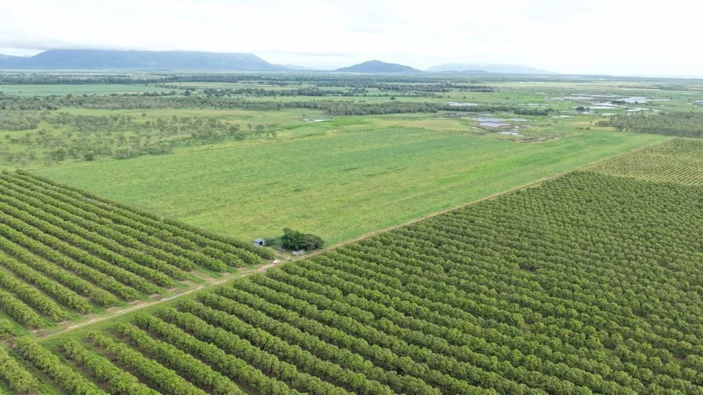 Additional image 11 of 3 Comiskey Road, Giru QLD 4809