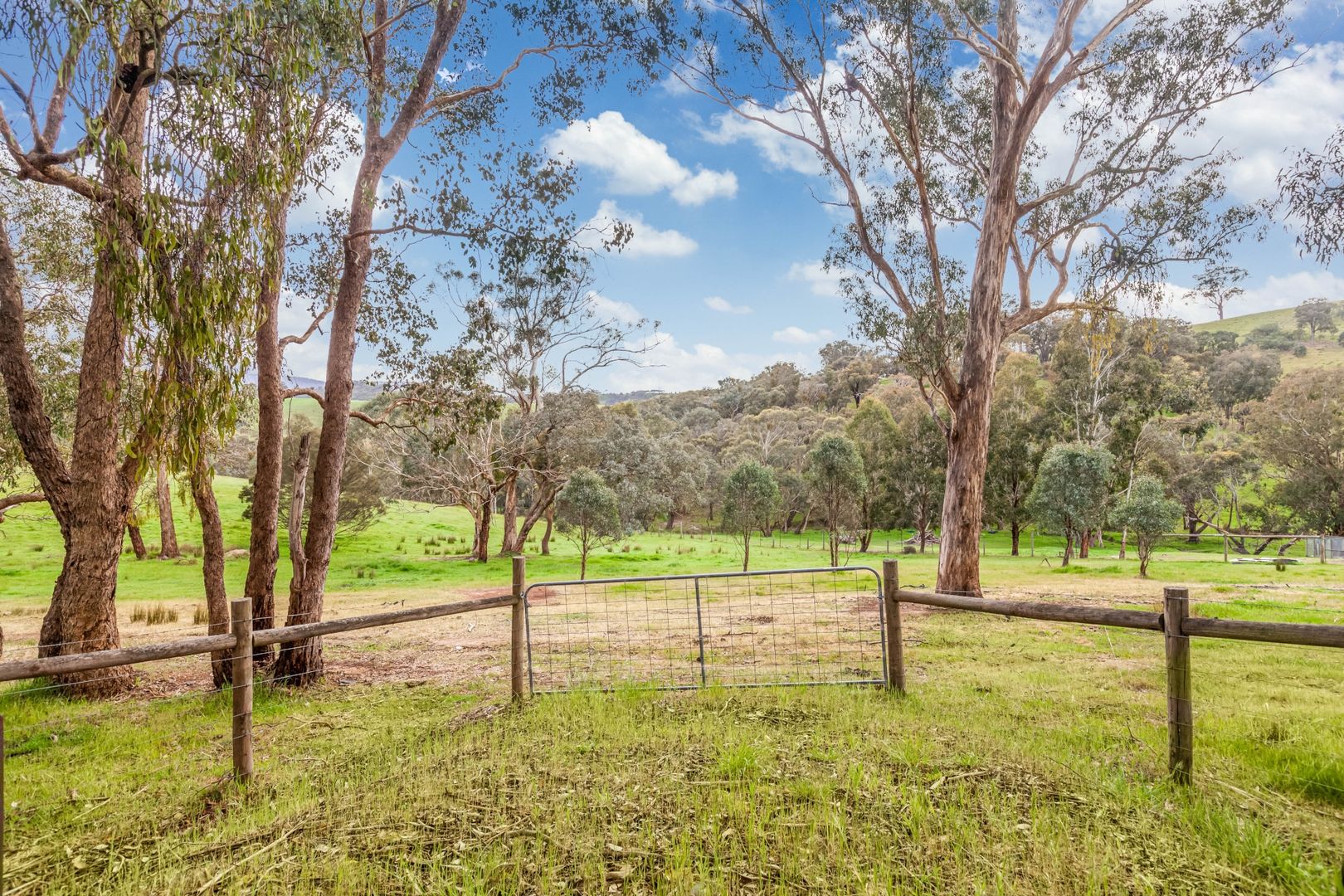 825 Strath Creek Road, Tyaak VIC 3658, Image 2