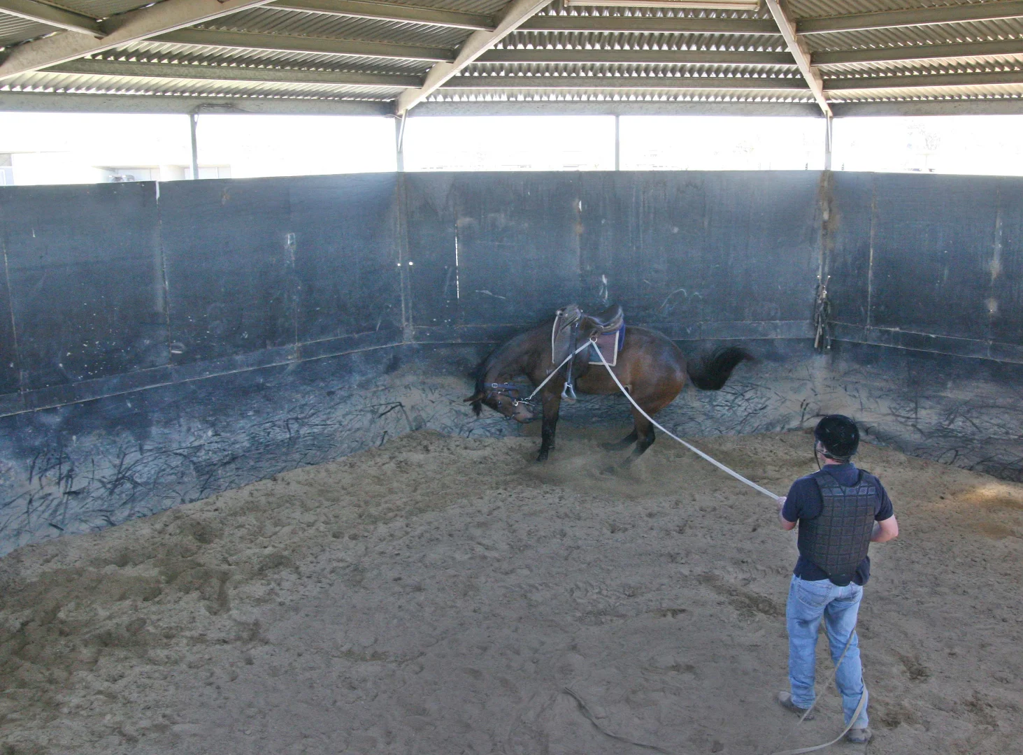 Additional image 8 of 493 Plain Road, Tabilk VIC 3607