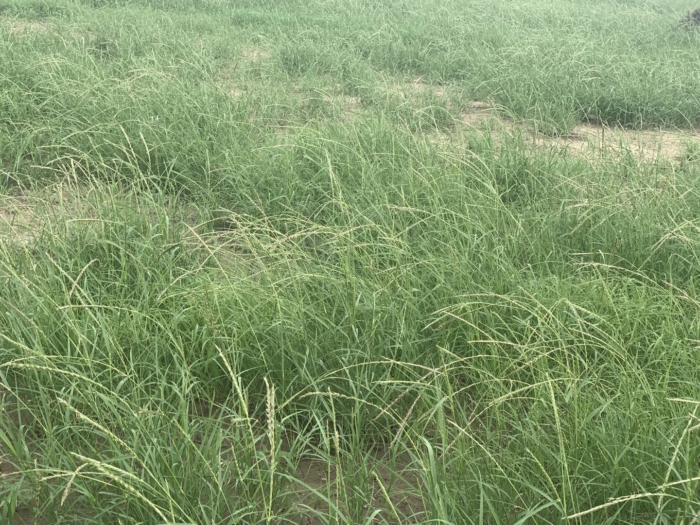 Image 14