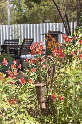 Additional image 9 of 45 McPherson Street, Casterton VIC 3311