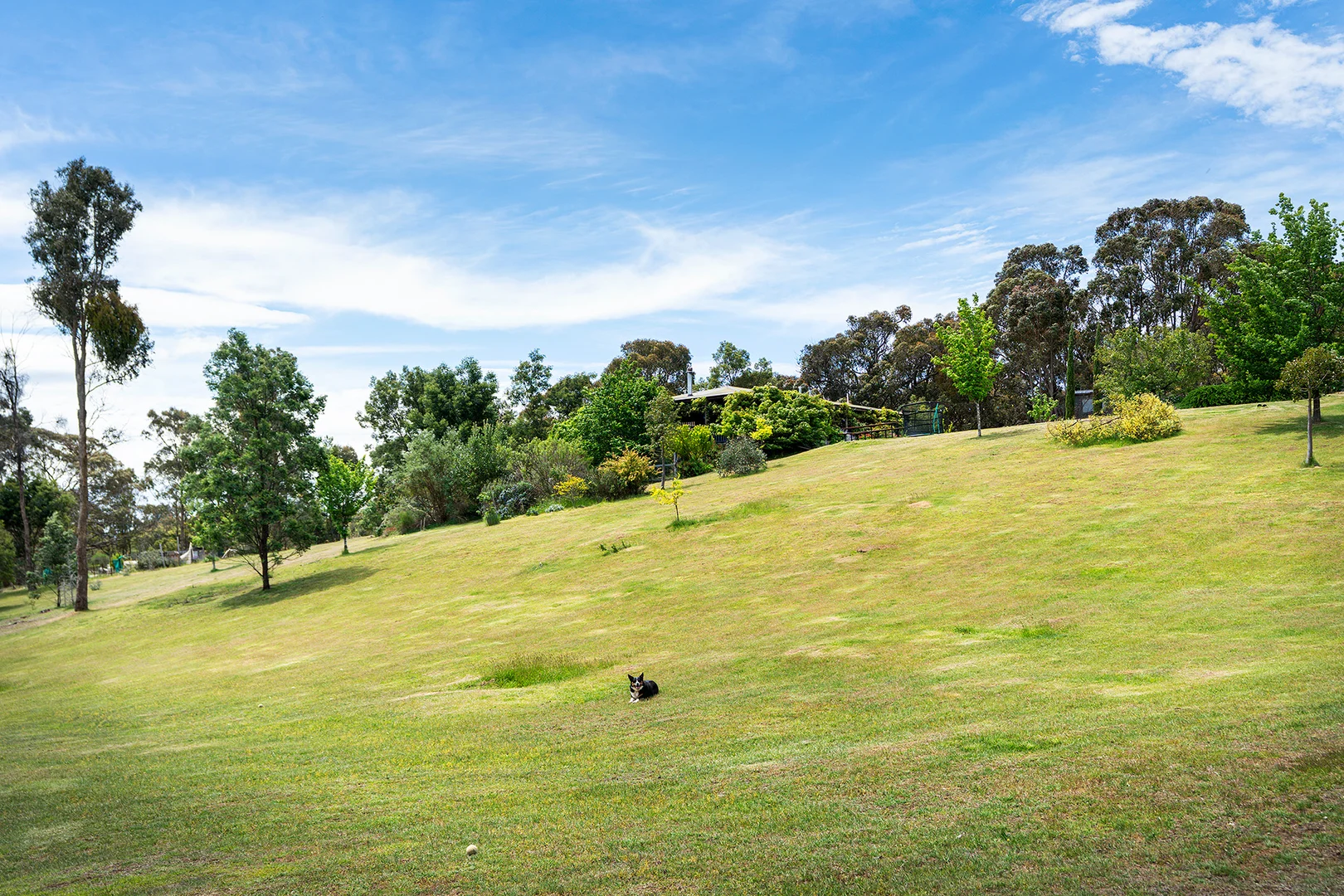 Image 17