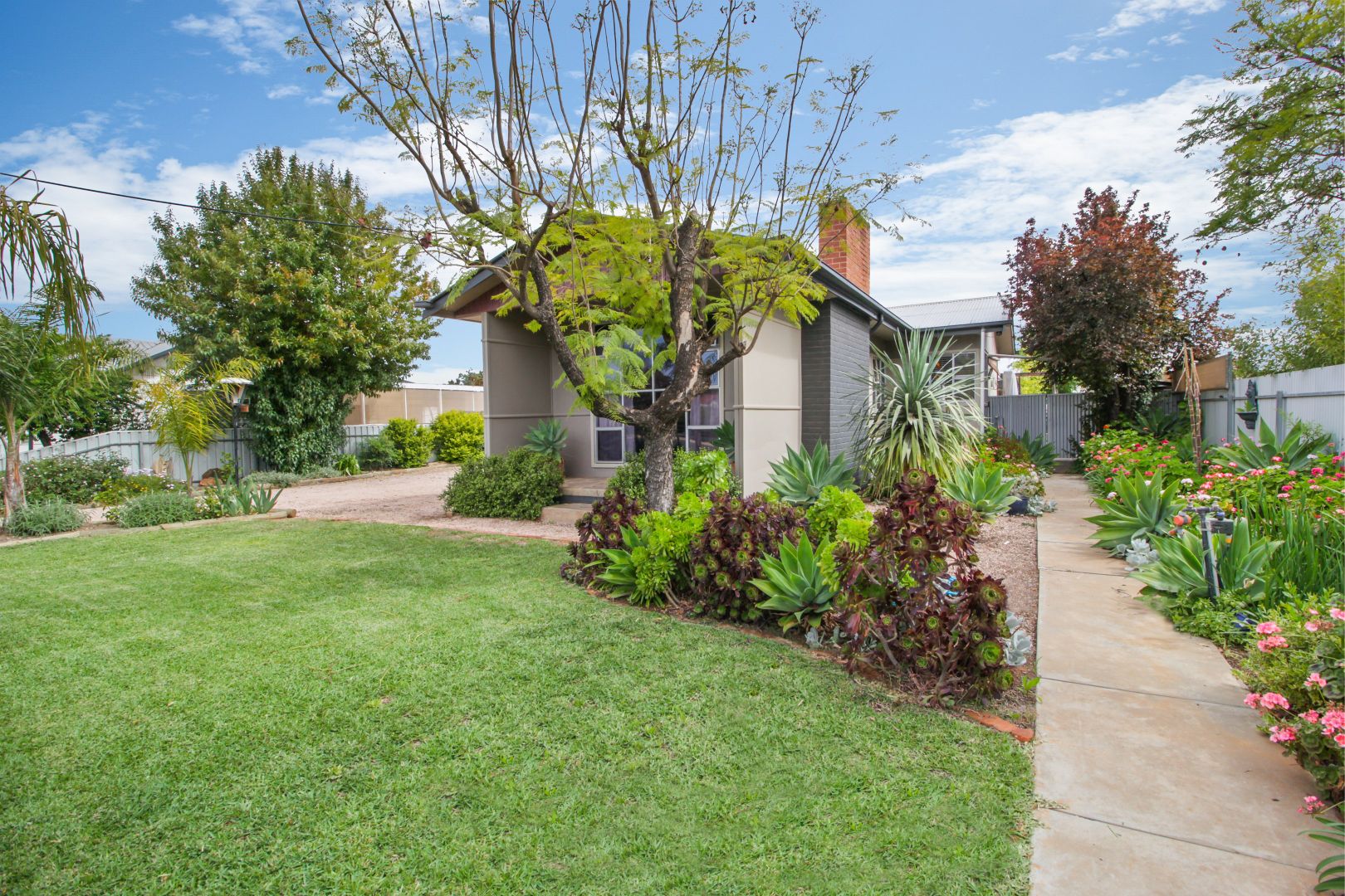 25 Fifteenth Street, Renmark SA 5341, Image 1