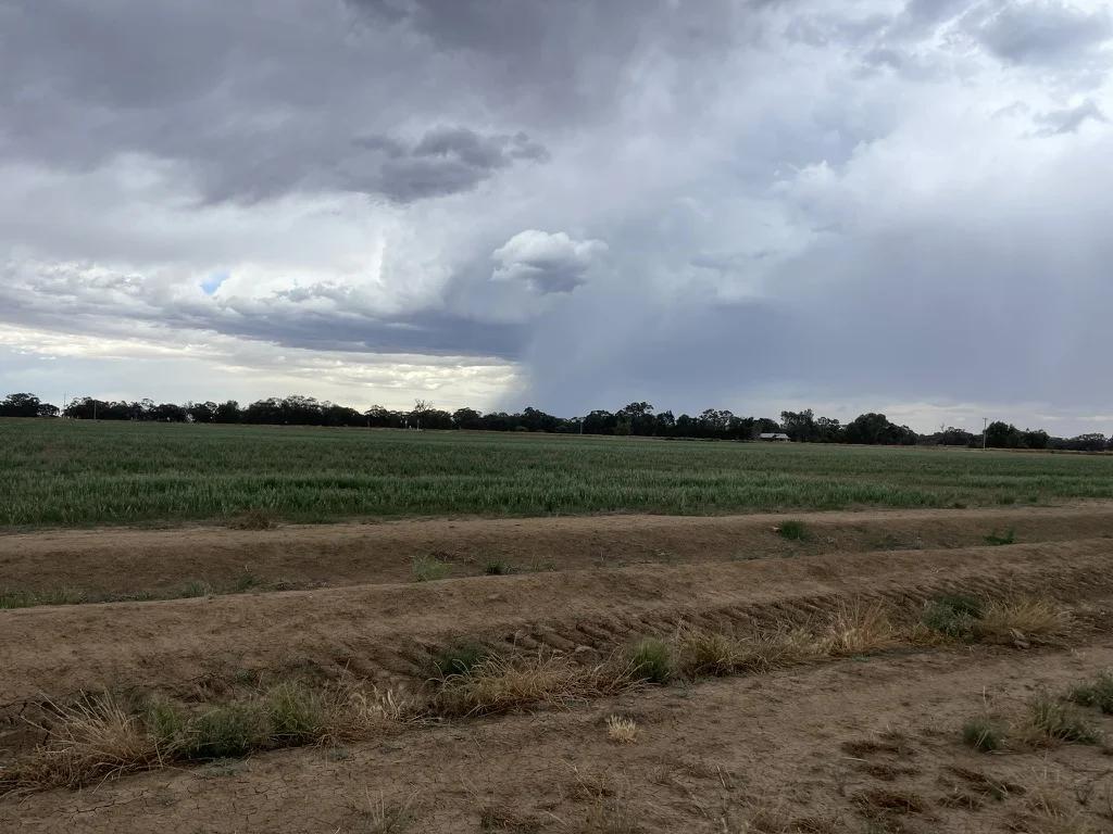 Image 22